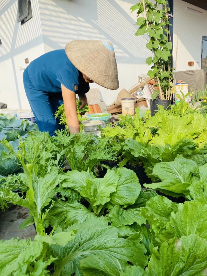 Khuân đất lên sân thượng trồng rau cho đỡ buồn chỉ 5 triệu cô giáo mầm non có rau ăn quanh năm không hết - 9