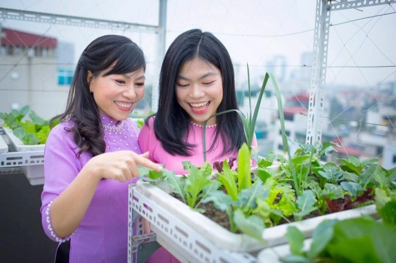 Làm vườn sân thượng mẹ đảm hà thành đỡ thoát vị đĩa đệm không cần đi chợ mua rau - 4