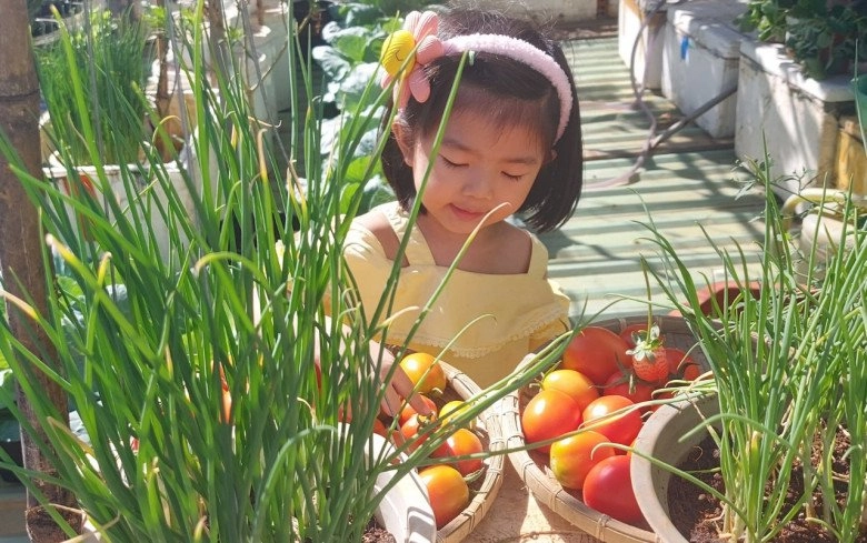 Mẹ đảm bình dương lén chồng mang đất lên mái nhà ngày qua ngày được vườn rau đẹp mê - 6