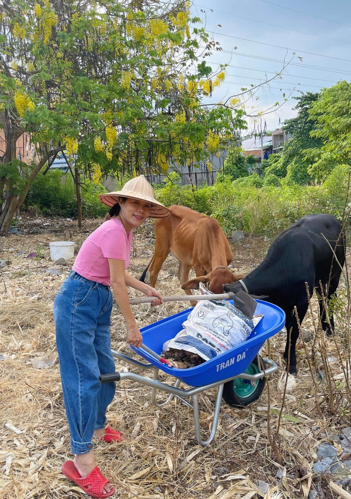 Thú vị ngắm đàn gia súc gia cầm trong nông trại nghìn m2 ở thủ đức của nữ ca sĩ mỹ nhân ngư - 8