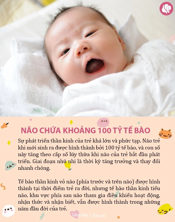 Trẻ sơ sinh biết bơi nhận ra mùi của mẹ 6 bí mật thú vị về trẻ khiến ai cũng ngã ngửa - 3