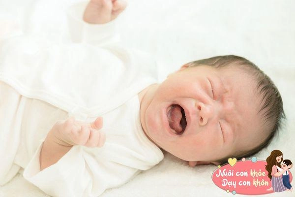 Em bé chào đời 7 ngày tuổi nhưng vẫn chưa chịu mở mắt bố sốt ruột đưa đi khám và kết quả ngã ngửa - 10