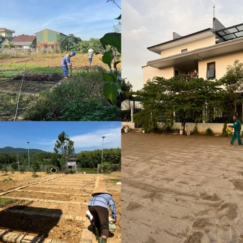 Mẹ đơn thân bỏ phố về quê sau 15 năm xây nhà 55 tỷ với khu vườn 2000m2 bạt ngàn rau trái - 7