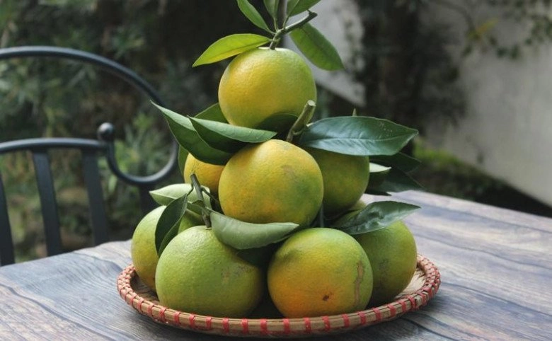 Tết thắp hương nhớ đặt 5 loại quả này trên bàn thờ cả năm phát tài bình an - 4