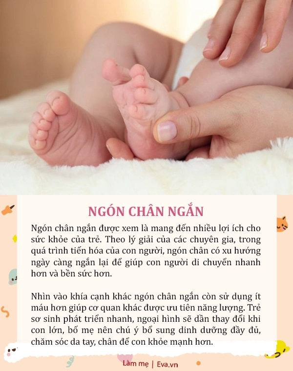 Trẻ có 5 đặc điểm này tưởng xấu xí nhưng báo hiệu bé khỏe có tố chất thiên tài - 5