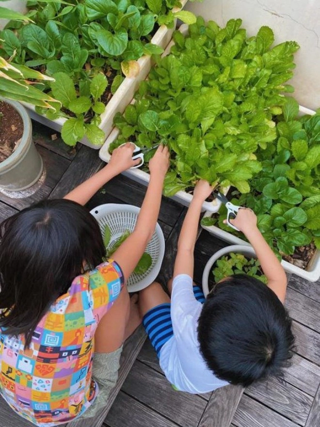 Để các con có tuổi thơ về khu vườn của mẹ sao việt bận mấy cũng trồng rau thành quả miễn chê - 12