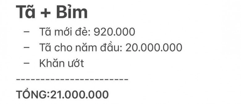 Mẹ bỉm công khai bảng chi phí nuôi con 10 tháng 120 triệu đồng nhiều chị em nói xem xong không dám đẻ - 4