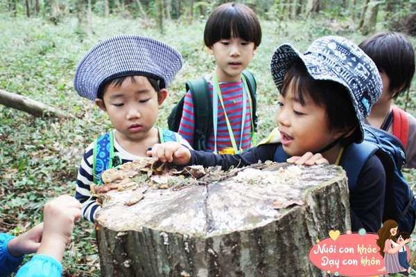 Mọi thứ cần biết về phương pháp giáo dục sớm montessori cho trẻ đang được nhiều mẹ việt theo đuổi - 8