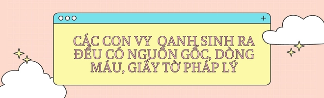 Vy oanh kể lại khoảng thời gian mẹ và 3 con bị dồn ép tới đường cùng khẳng định các con sinh ra đều có nguồn gốc - 7