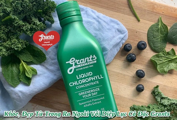 Yêu bản thân từ trong ra ngoài với diệp lục cô đặc hảo hạng grants of australia liquid chlorophyll - 1