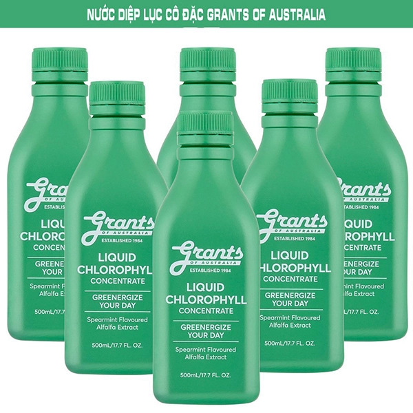 Yêu bản thân từ trong ra ngoài với diệp lục cô đặc hảo hạng grants of australia liquid chlorophyll - 3