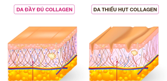 Hd ellie gold đột phá công nghệ collagen mang lại vẻ đẹp cho làn da - 1