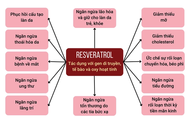 Tìm ra loại sữa rửa có hoạt chất kích hoạt gen trường thọ trẻ hoá làn da - 1