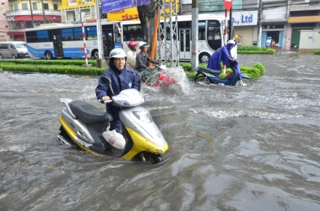 Các điểm bất tiện của xe tay ga mà những tấm chiếu mới không bao giờ biết - 8