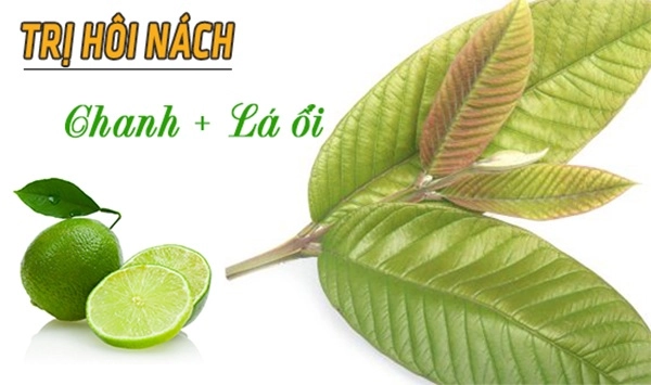 18 cách trị hôi nách tận gốc tại nhà an toàn hiệu quả từ nguyên liệu tự nhiên - 8