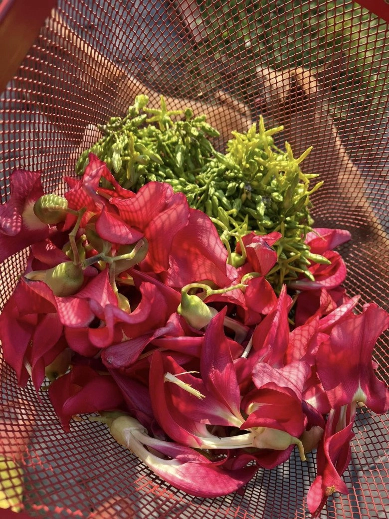 Bên trong trang trại của btv thu uyên nhiều góc đẹp mê ly như tranh vẽ ngát hương đủ loại hoa - 26
