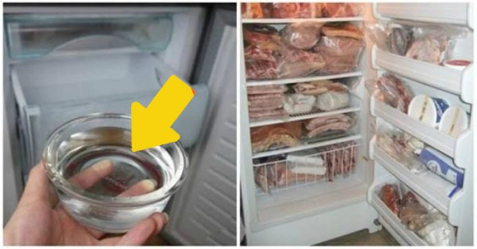 Đặt bát nước vào tủ lạnh điều kỳ diệu xảy ra khi bạn nhận hóa đơn tiền điện vào cuối tháng - 1