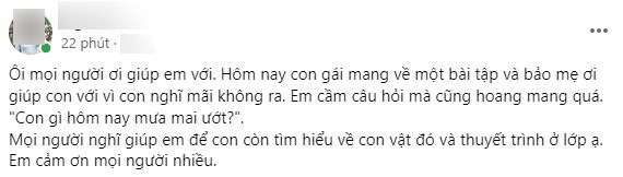 Mẹ bó tay với câu đố tiếng việt tiểu học con gì hôm nay mưa mai ướt đáp án lại cực đơn giản - 1