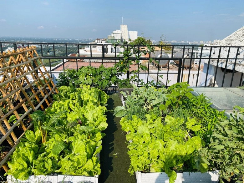 Nữ giám đốc sài thành chi 120 triệu đồng vác 5 tấn đất lên sân thượng làm vườn rau sạch có view đẹp như mơ - 10