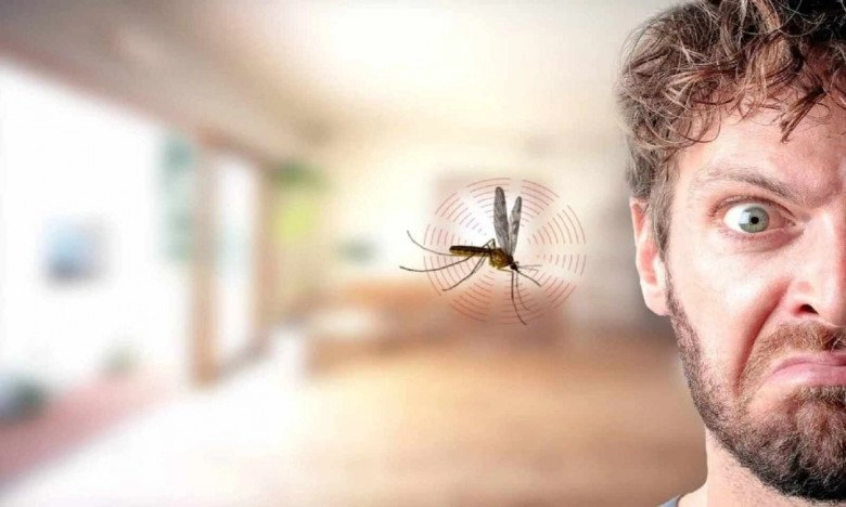 Tại sao tắt điện thì muỗi kêu vo ve bật điện lên lại không thấy đâu câu trả lời khiến nhiều người ngỡ ngàng - 1