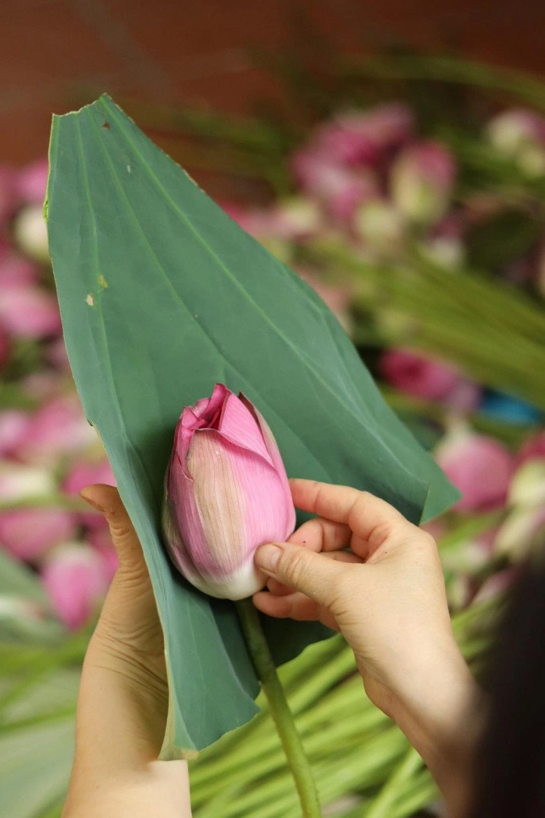 Tranh thủ mùa sen đang nở rộ gái đảm mách cách làm trà sen siêu thơm ngon uống chén nào ngất ngây chén đó - 8