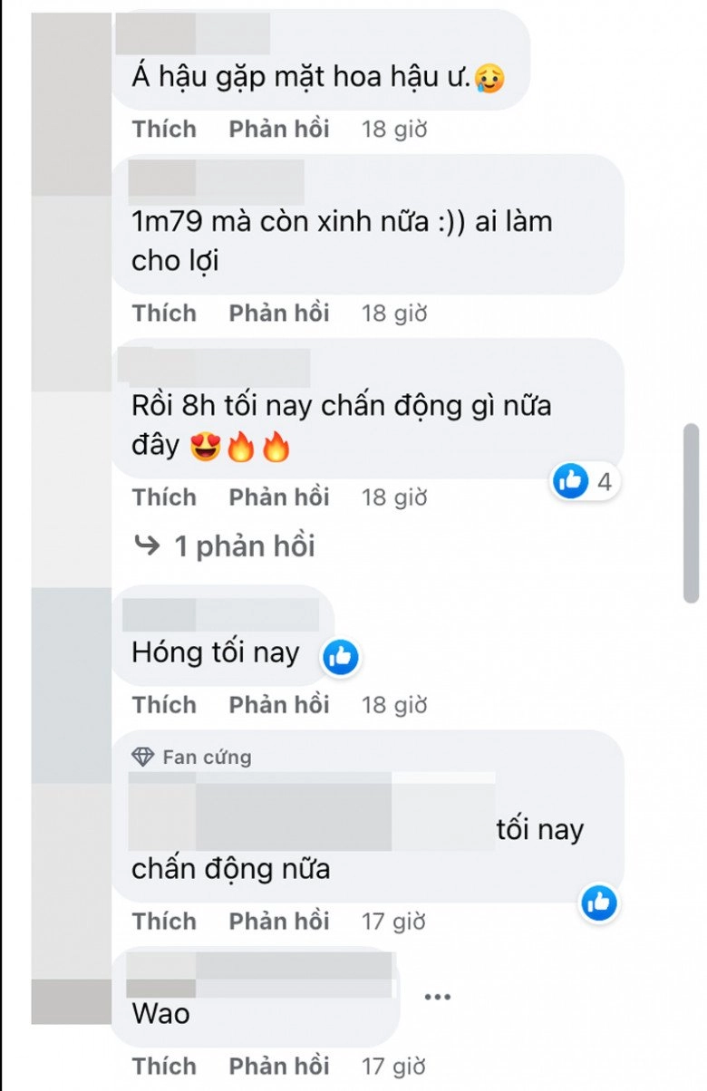 Vợ chưa cưới nhỏ hơn gần 20 tuổi của hồ quang hiếu thi sắc đẹp dân mạng phản ứng ra sao - 5