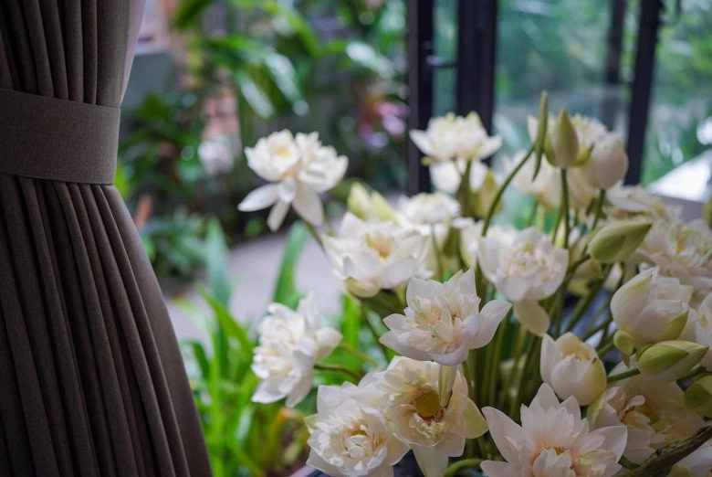 Đi ngắm hoa bất thành mẹ đảm chi hơn 3 triệu mua 800 bông sen bạch liên về cắm ngắm cho thỏa thích - 9