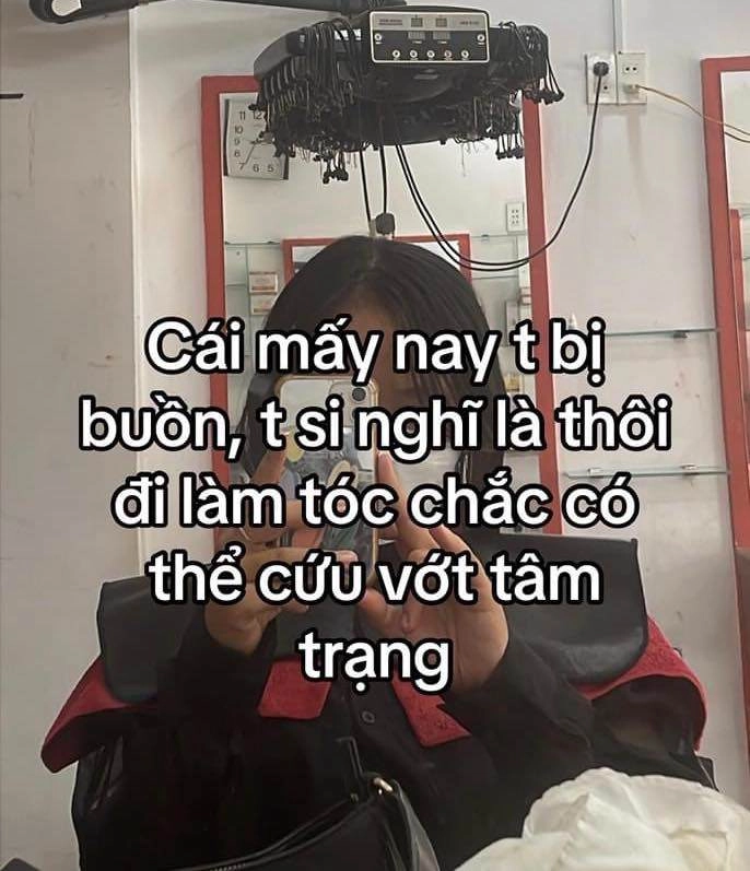 Đi làm tóc về cô gái đôi mươi bỗng thành bà thím chỉ kết luận 4 chữ giao trứng cho ác - 2