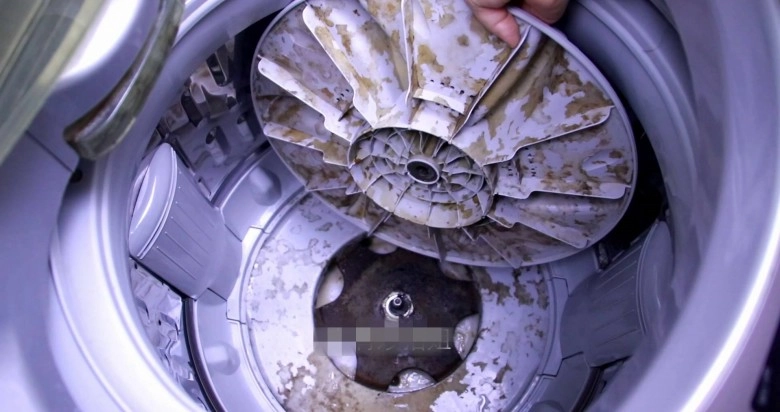 Bên trong máy giặt có một cơ quan nhỏ mỗi tháng mở ra một lần quần áo sạch sẽ thơm tho - 5