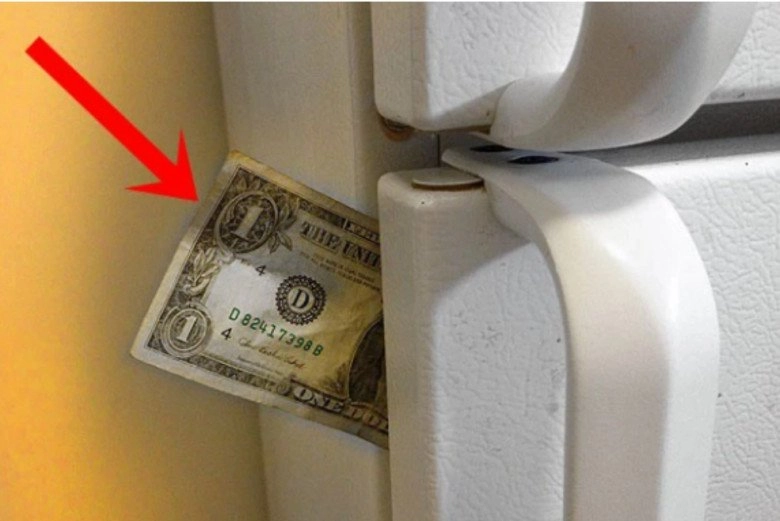 Đặt 1 tờ tiền trong tủ lạnh không ngờ lại hữu ích như vậy nhà nào cũng nên thử ít nhất 1 lần - 2