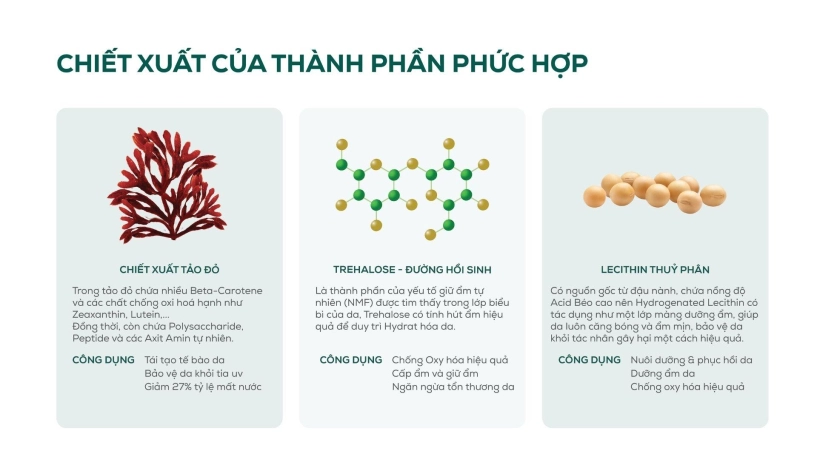 Ứng dụng giải nobel y sinh học thương hiệu việt đột phá trong sản xuất dược mỹ phẩm từ tự thực tế bào - 3