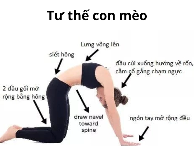 3 động tác uốn dẻo tại nhà giúp phụ nữ nhật có vòng eo con kiến chị em mê yoga cập nhật ngay - 4