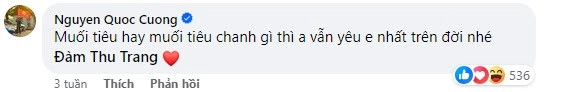 Đàm thu trang làm mẹ bỉm vừa xinh vừa khéo kết nối 3 con khăng khít khiến cường đôla suốt ngày khen nịnh - 13