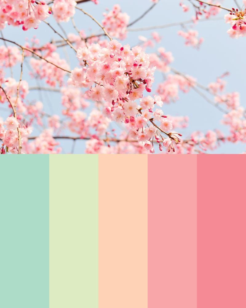 Personal color là gì vì sao bạn cần tìm ra màu cá nhân của riêng mình - 3