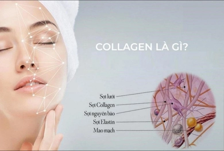 Sai lầm ăn da heo để bổ sung collagen cho da căng mướt đâu mới là sự lựa chọn của phụ nữ - 1