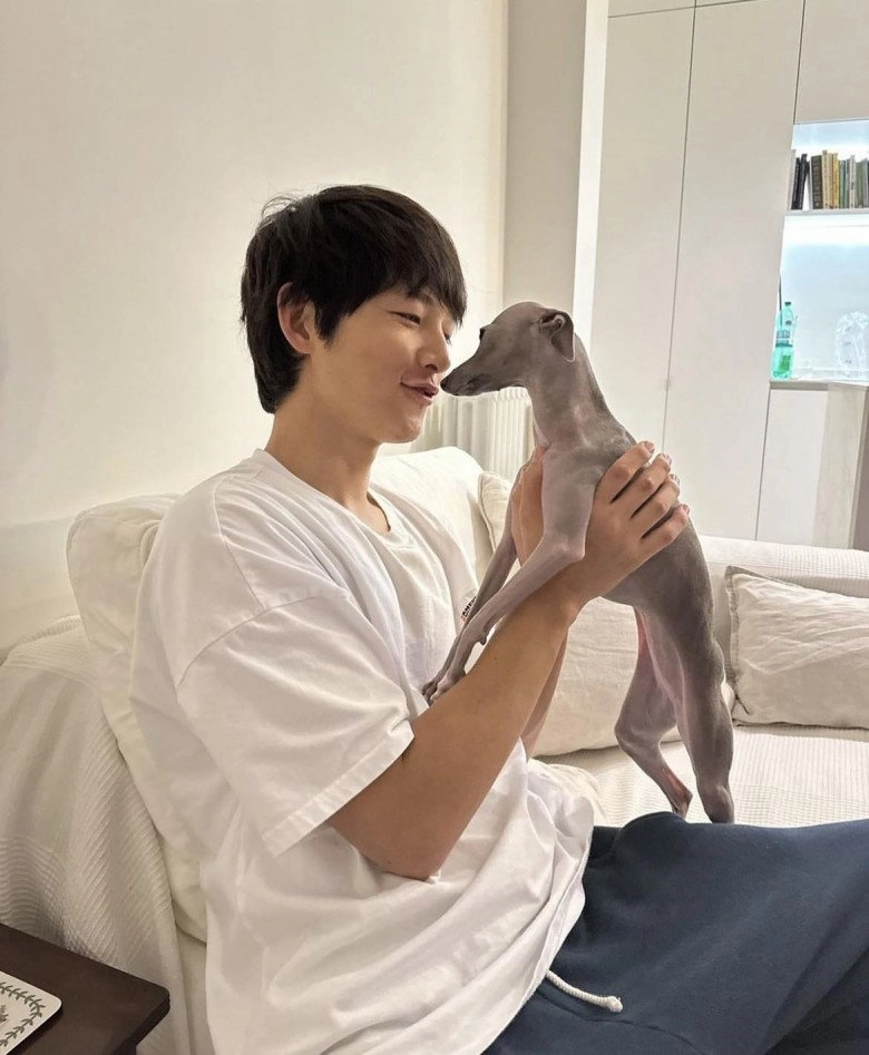 Song joong ki lịch lãm sánh đôi cùng bà xã tây vừa lên chức bố bỉm vẫn không tụt dốc visual nam thần màn ảnh - 7