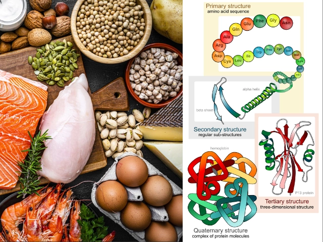 Thực đơn gọt dáng dễ nhớ của lưu diệc phi 5 ngày giảm ngay 5kg - 5