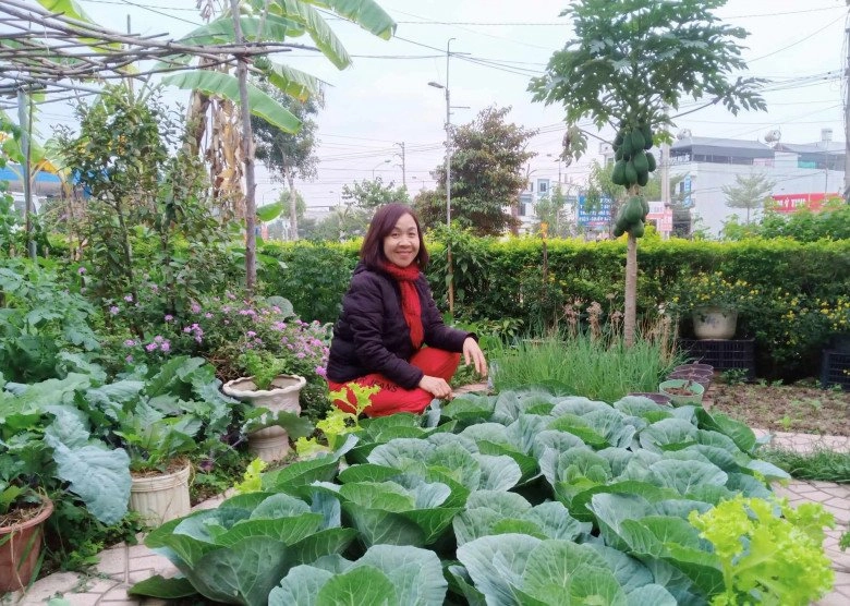 Cô giáo bắc giang làm vườn cực mát tay trồng rau rau xanh mướt trồng hoa hoa khoe sắc - 1