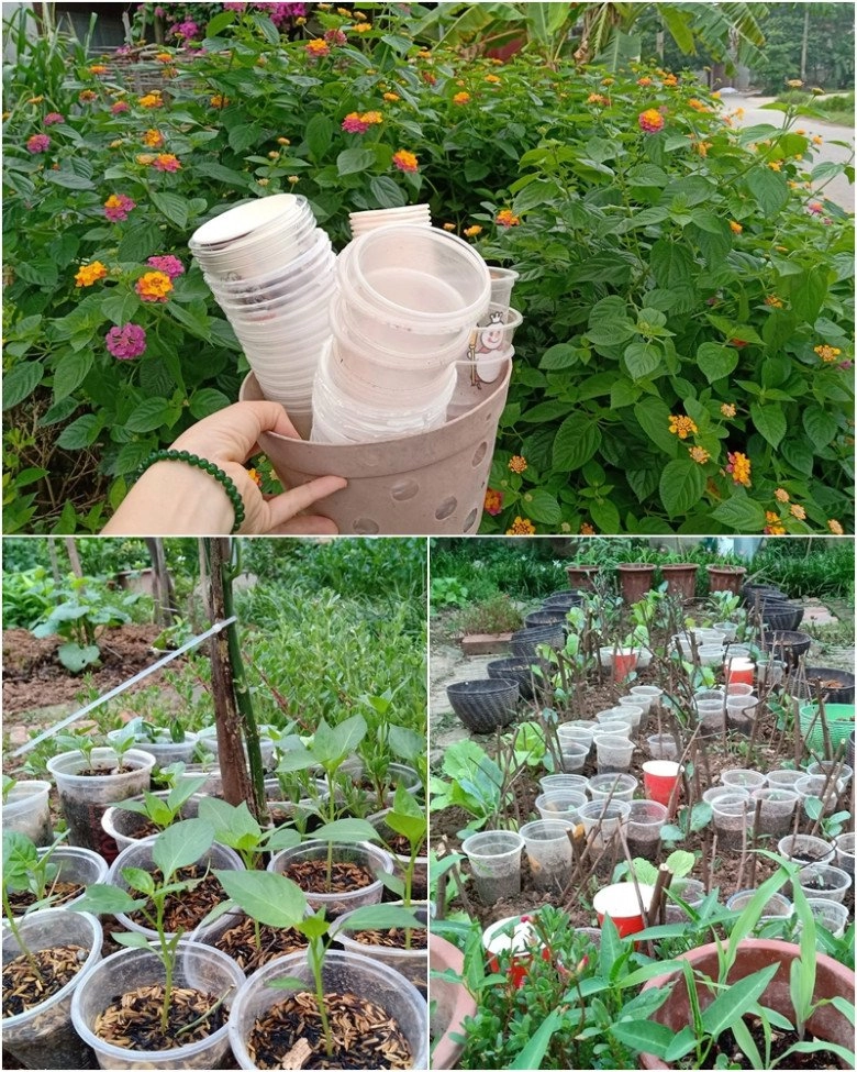 Cô giáo bắc giang làm vườn cực mát tay trồng rau rau xanh mướt trồng hoa hoa khoe sắc - 11