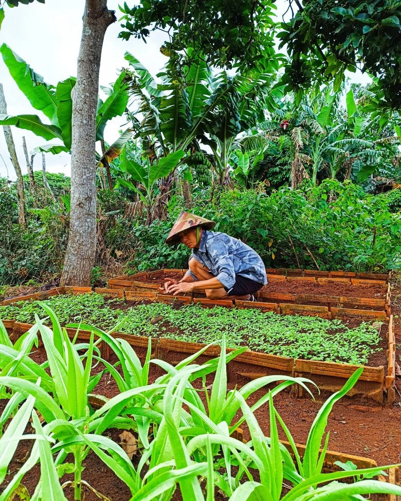 Nam công nhân tan ca tự trồng rau phục vụ bữa ăn hàng ngày chia sẻ bí quyết mát tay nhờ khâu làm đất - 3