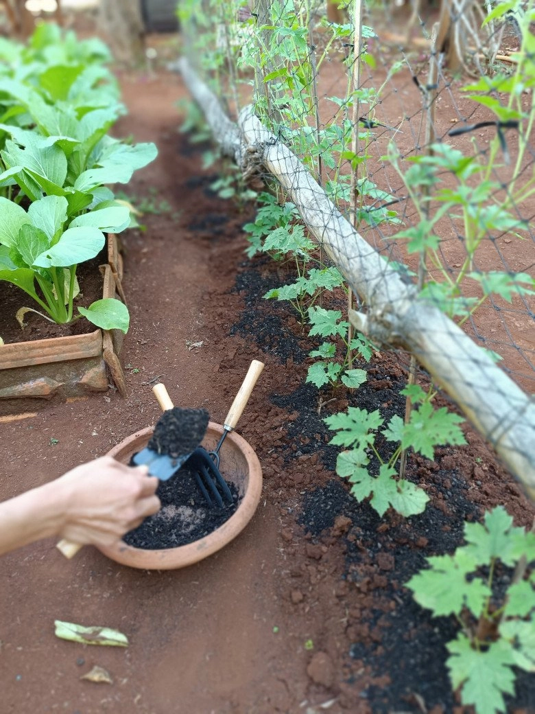 Nam công nhân tan ca tự trồng rau phục vụ bữa ăn hàng ngày chia sẻ bí quyết mát tay nhờ khâu làm đất - 5