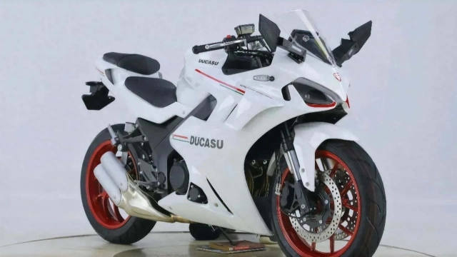 Ra mắt phiên bản nhái ducati supersport với động cơ 2 xi-lanh xuất xứ từ trung quốc - 1