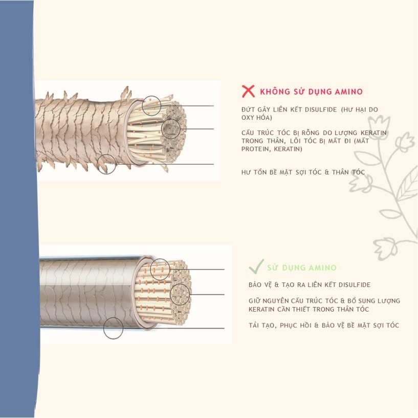 Siêu phẩm amino oil bước tiến trong phương pháp phục hồi tóc chuyên sâu - 2
