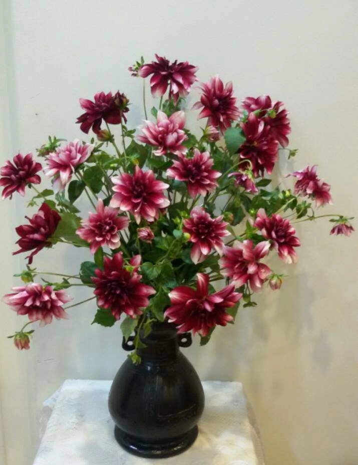 6 loại hoa nên đặt 3loại hoa phải kỵ khi cúng vía thần tài để cả năm cho lộc to - 4