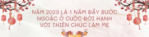 Hạnh sino đón tết nguyên đán rực rỡ khi sinh đôi một trai một gái ở tuổi u40 - 8