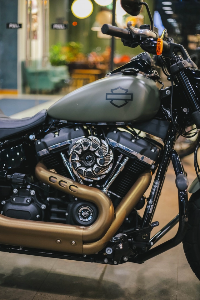 Harley-davidson fat bob siêu lướt -màu cực độc - 4