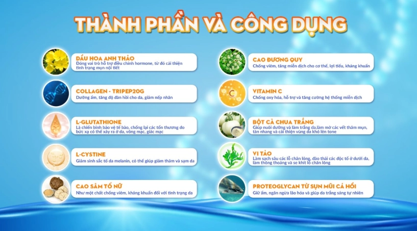 Lý giải sức hút kỳ diệu của viên uống hỗ trợ trắng da damian - 3