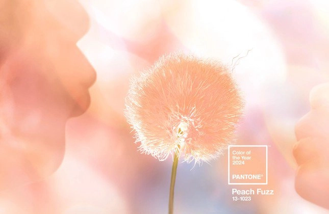 Peach fuzz - sắc hồng cam lên ngôi 2024 thổi bùng xu hướng thời trang ngọt ngào trẻ trung - 3