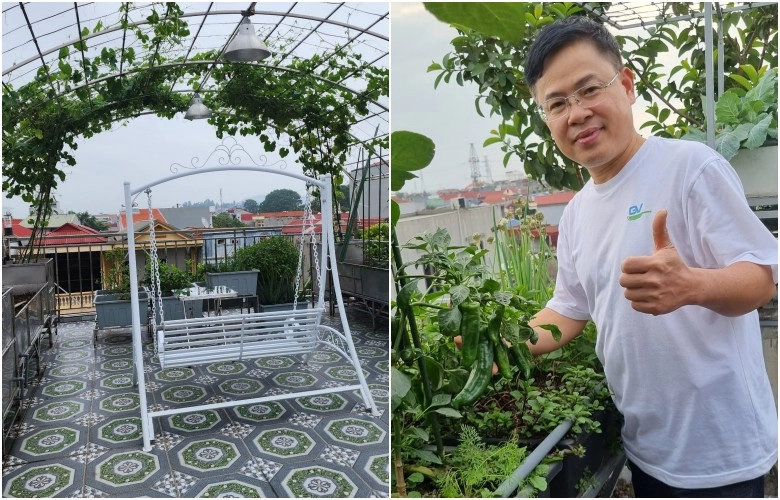 Anh chồng dỡ mái tôn làm vườn trên sân thượng khi vợ bầu lần 3 tình yêu giản dị từ vườn rau tặng vợ - 6