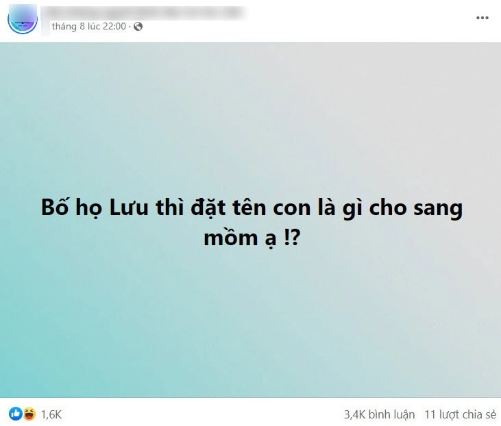 Bố họ lưu hỏi đặt tên con là gì cho sang ngã ngửa với kết quả từ dân mạng - 1